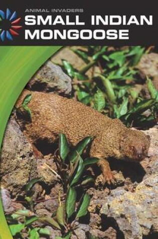 Cover of Small Indian Mongoose