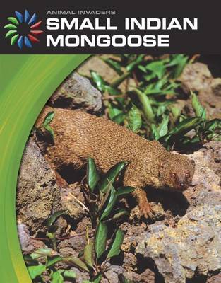 Book cover for Small Indian Mongoose
