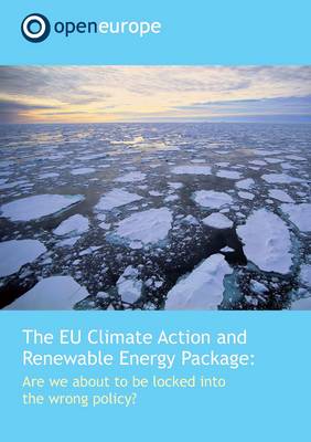 Book cover for The EU Climate Action and Renewable Energy Package: are We About to be Locked into the Wrong Policy?