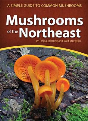 Book cover for Mushrooms of the Northeast