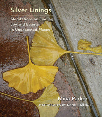 Book cover for Silver Linings