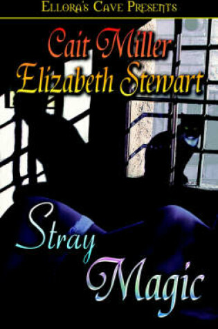 Cover of Stray Magic