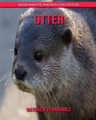 Book cover for Otter