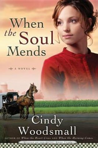 Cover of When the Soul Mends