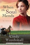Book cover for When the Soul Mends