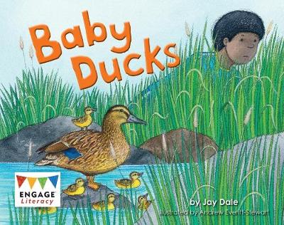 Book cover for Baby Ducks