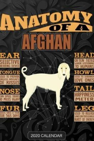 Cover of Anatomy Of A Afghan