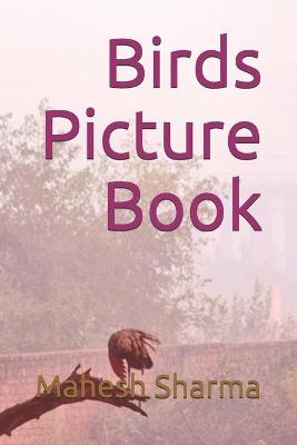 Book cover for Birds Picture Book