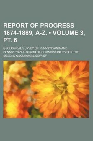 Cover of Report of Progress 1874-1889, A-Z. (Volume 3, PT. 6)