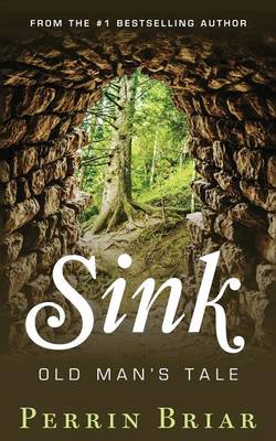 Cover of Sink