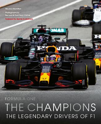 Book cover for The Champions