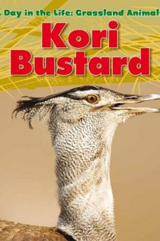 Cover of Kori Bustard