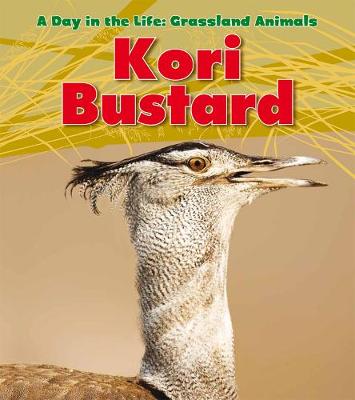 Cover of Kori Bustard