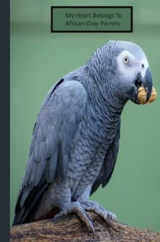 Cover of My Heart Belongs to African Gray Parrots