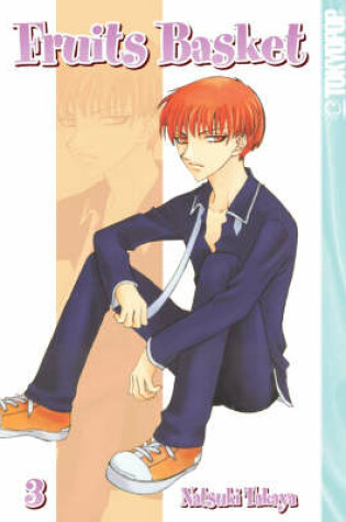 Cover of Fruits Basket, Vol. 3