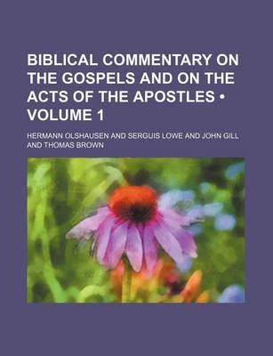 Book cover for Biblical Commentary on the Gospels and on the Acts of the Apostles (Volume 1)