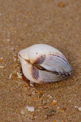 Book cover for Seashell on the Beach Journal