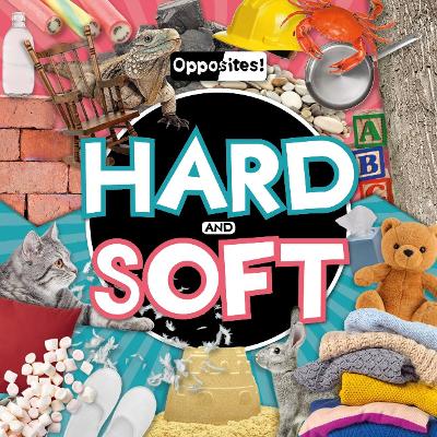 Book cover for Hard and Soft