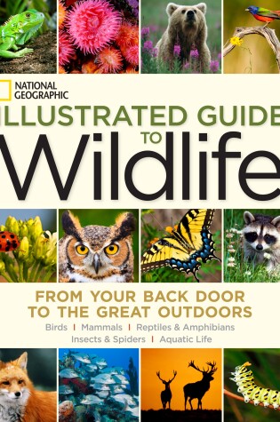 Cover of National Geographic Illustrated Guide to Wildlife