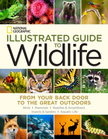 Book cover for National Geographic Illustrated Guide to Wildlife