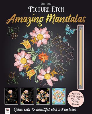 Book cover for Picture Etch: Amazing Mandalas