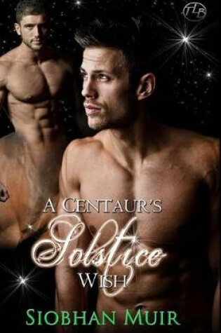 Cover of A Centaur's Solstice Wish