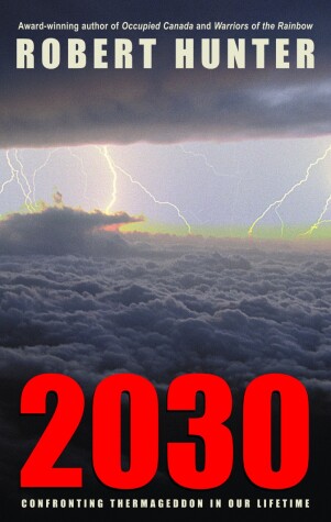 Book cover for 2030