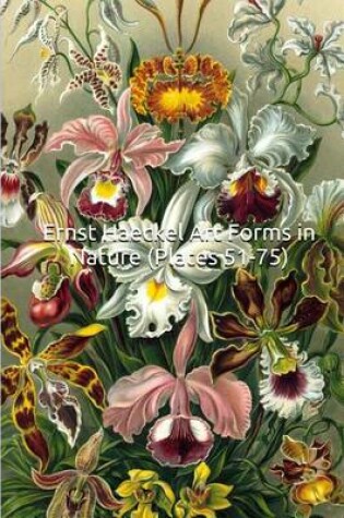 Cover of Ernst Haeckel Art Forms in Nature (Plates 51-75)