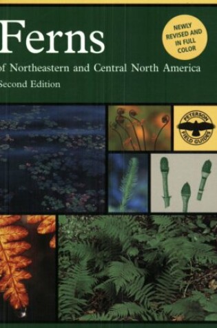 Cover of Peterson Field Guide to Ferns, Second Edition