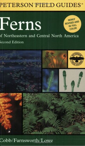 Book cover for Peterson Field Guide to Ferns, Second Edition