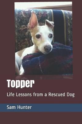 Book cover for Topper