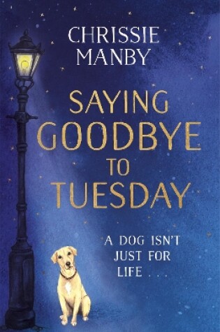 Cover of Saying Goodbye to Tuesday