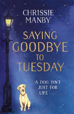 Book cover for Saying Goodbye to Tuesday