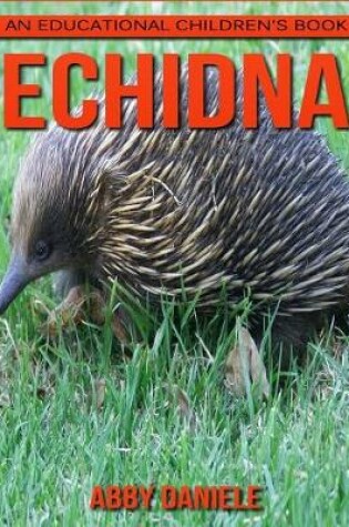 Cover of Echidna! An Educational Children's Book about Echidna with Fun Facts & Photos