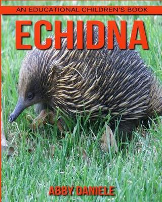 Book cover for Echidna! An Educational Children's Book about Echidna with Fun Facts & Photos