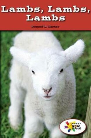 Cover of Lambs, Lambs, Lambs