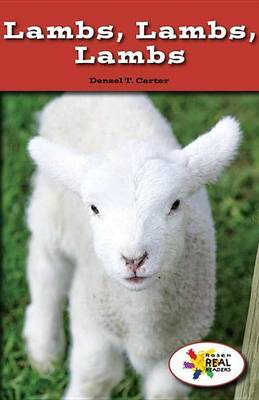 Book cover for Lambs, Lambs, Lambs