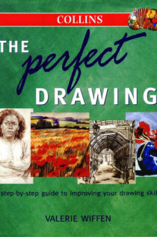 Cover of The Perfect Drawing