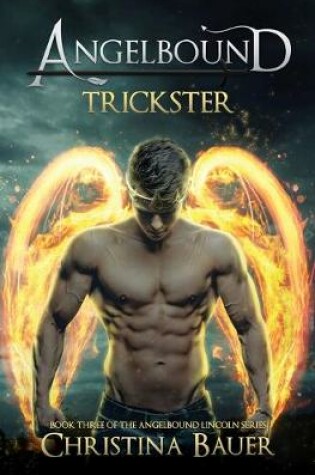 Cover of Trickster