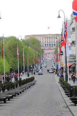 Book cover for A View of the Royal Palace in Oslo, Norway