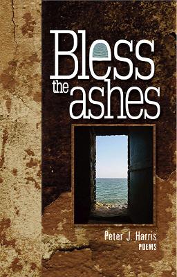 Book cover for Bless the Ashes