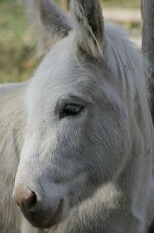 Cover of Wonderful White Donkey Portrait Animal Journal