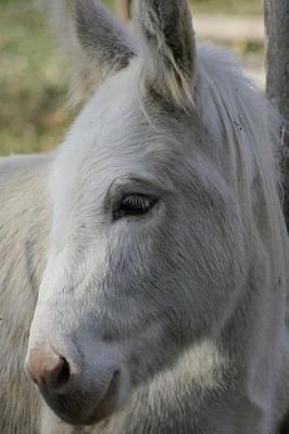 Book cover for Wonderful White Donkey Portrait Animal Journal