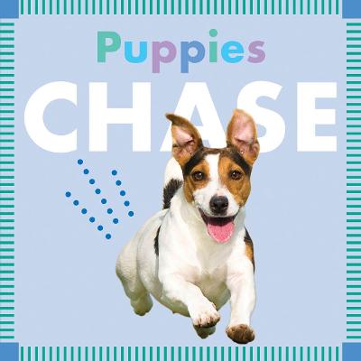 Book cover for Puppies Chase