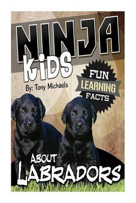 Book cover for Fun Learning Facts about Labradors