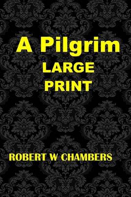 Book cover for A Pilgrim Large Print