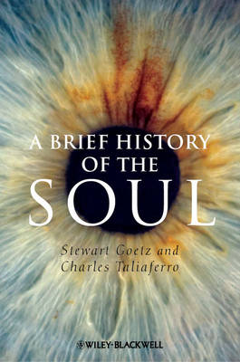 Book cover for A Brief History of the Soul