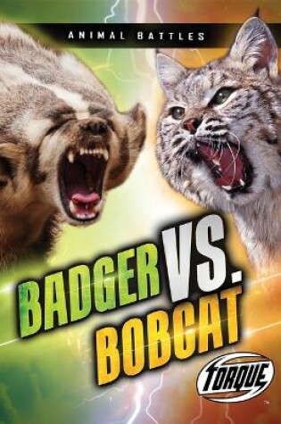 Cover of Badger vs. Bobcat