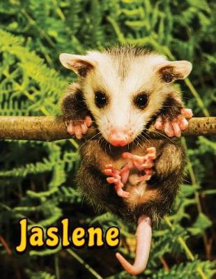 Book cover for Jaslene