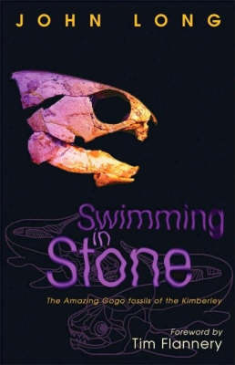 Book cover for Swimming in Stone